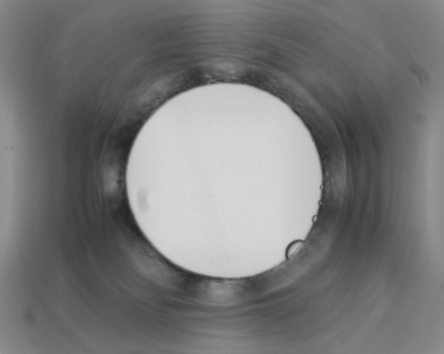 X0000112790134200910021107