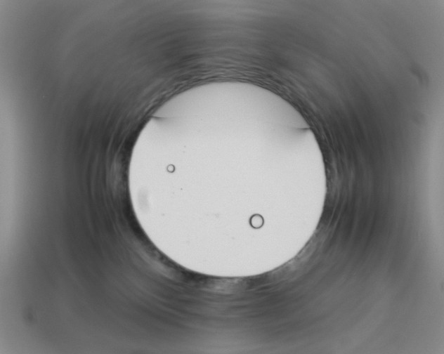 X0000112790136200910021107