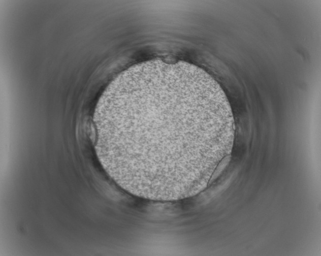 X0000112790137200910021107