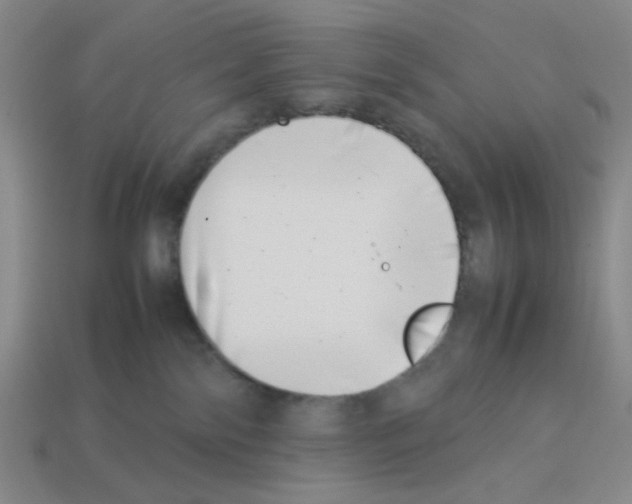 X0000112790138200910021107