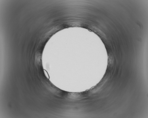 X0000112790141200910021107