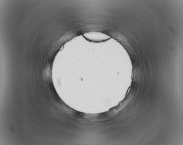 X0000112790143200910021107