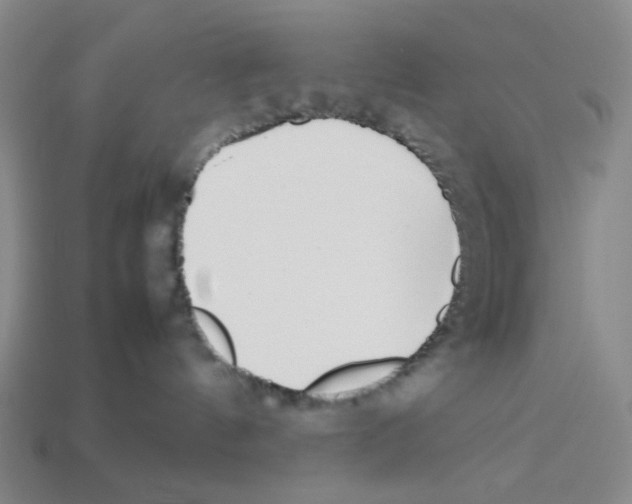 X0000112790144200910021107