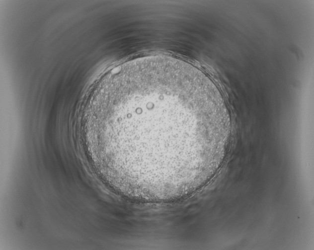 X0000112790145200910021107