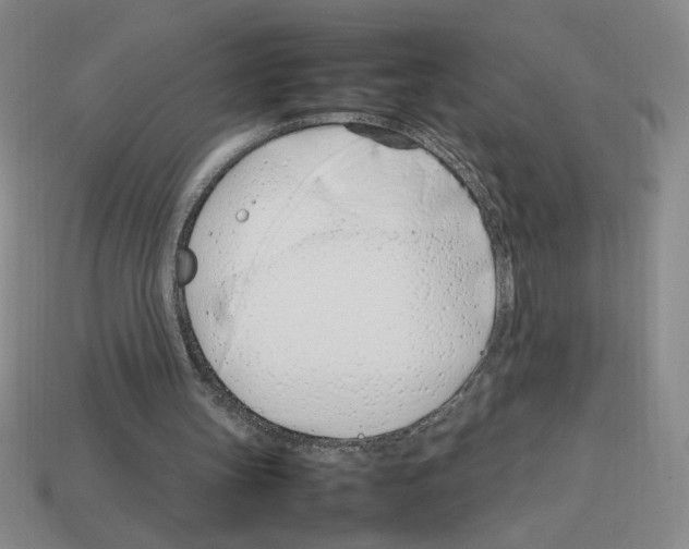 X0000112790147200910021107