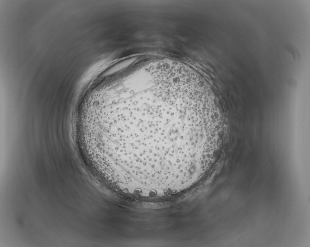 X0000112790149200910021107