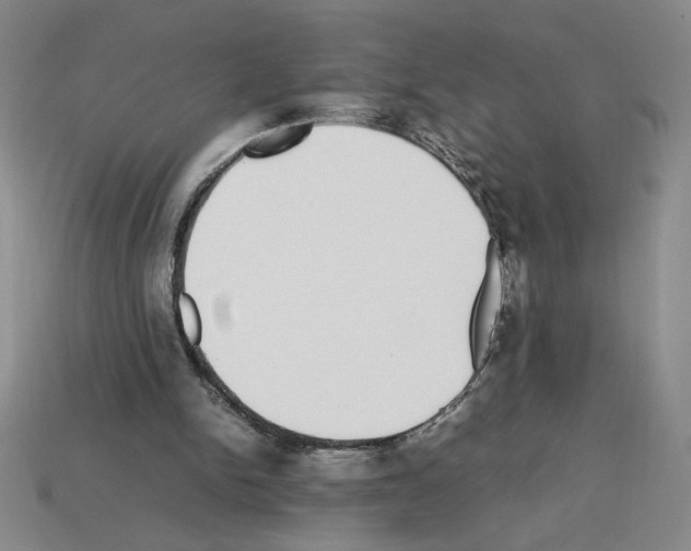 X0000112790150200910021107