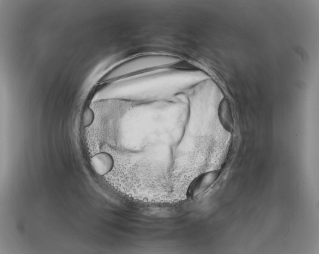 X0000112790151200910021107