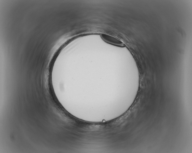 X0000112790152200910021107