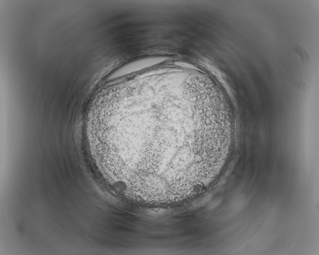 X0000112790153200910021107