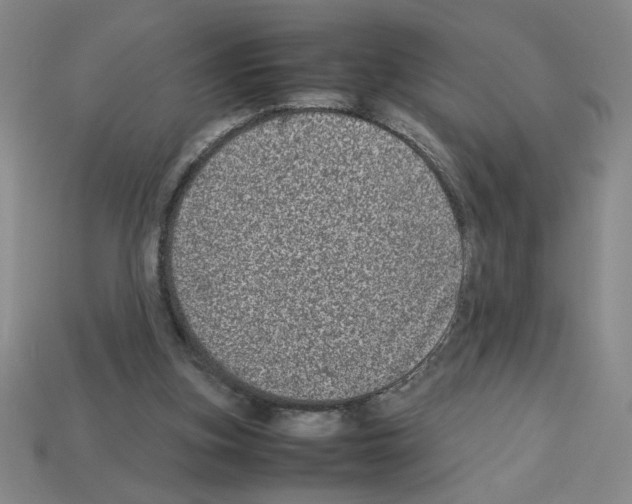 X0000112790155200910021107