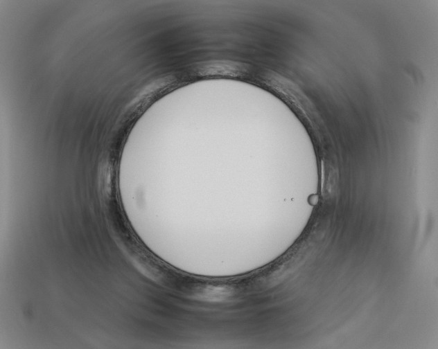 X0000112790157200910021107