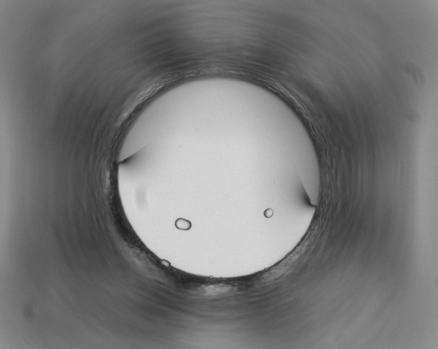 X0000112790158200910021107