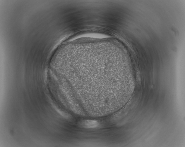 X0000112790159200910021107