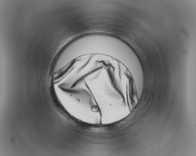 X0000112790160200910021107