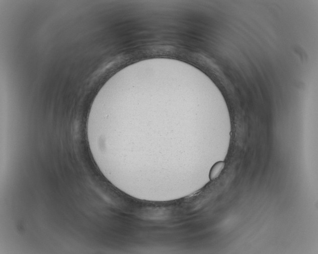 X0000112790161200910021107