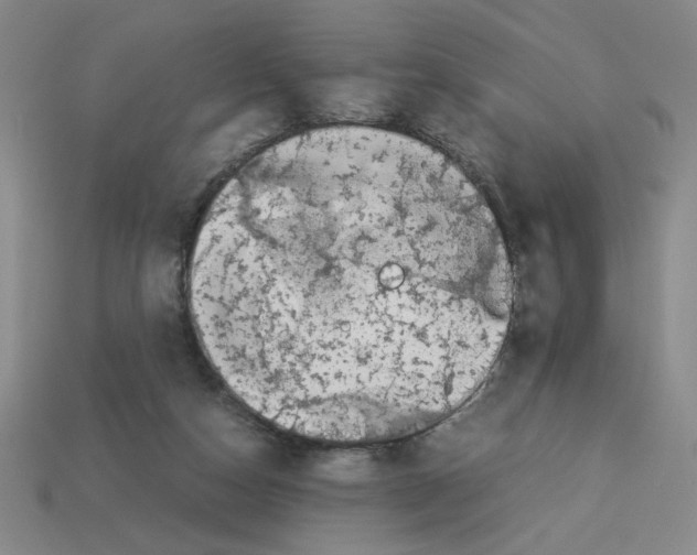 X0000112790162200910021107