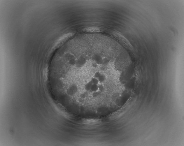 X0000112790163200910021107