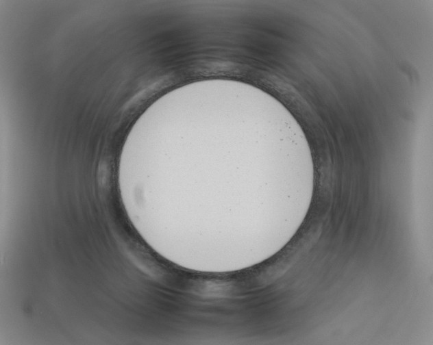 X0000112790165200910021107