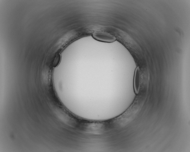 X0000112790168200910021107