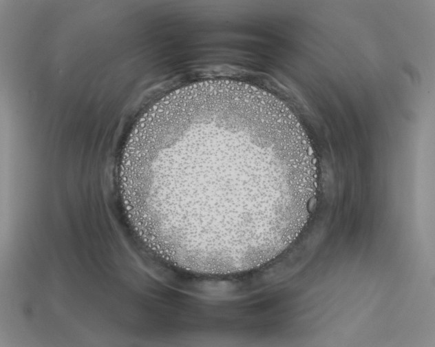 X0000112790169200910021107