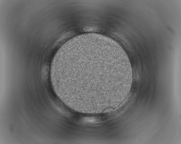 X0000112790171200910021107