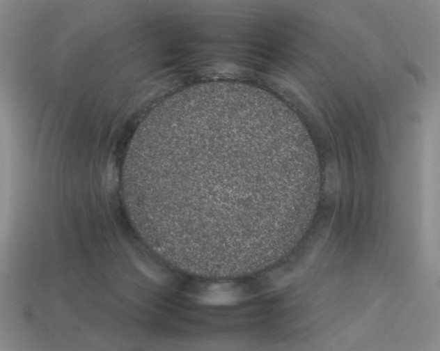 X0000112790173200910021107