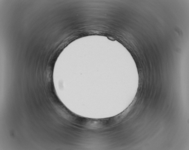 X0000112790174200910021107