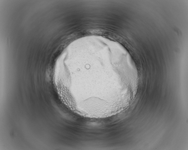 X0000112790175200910021107