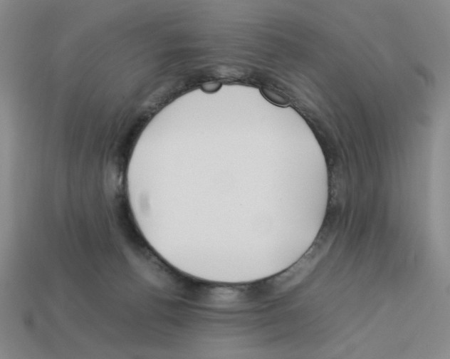 X0000112790176200910021107