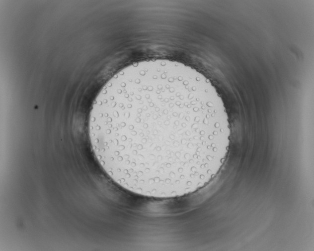 X0000112790178200910021107