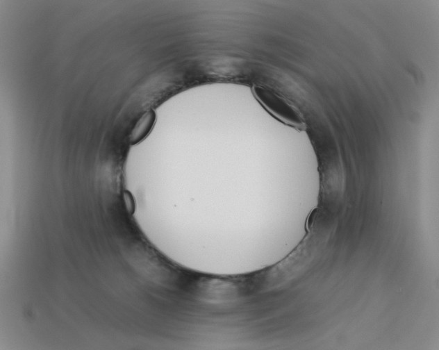 X0000112790180200910021107