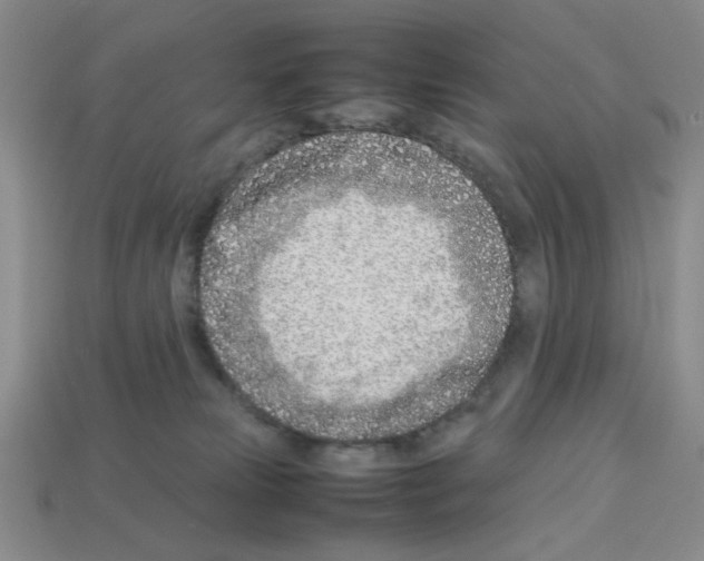 X0000112790181200910021107