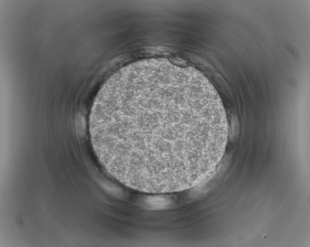 X0000112790183200910021107