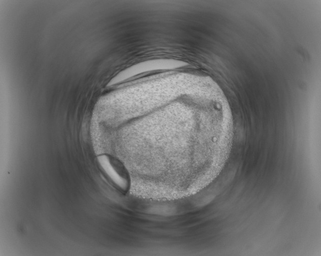 X0000112790185200910021107