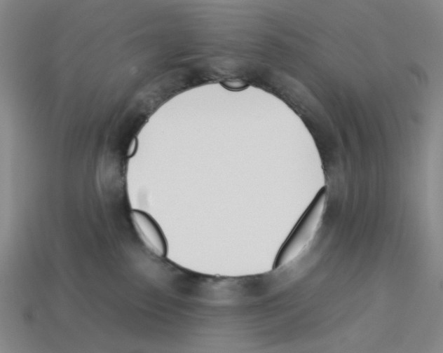 X0000112790186200910021107