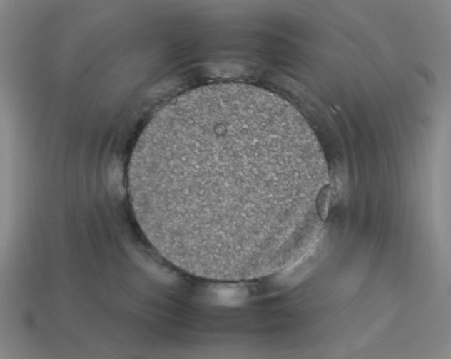 X0000112790187200910021107