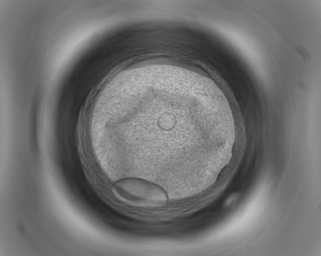 X0000112790191200910021107