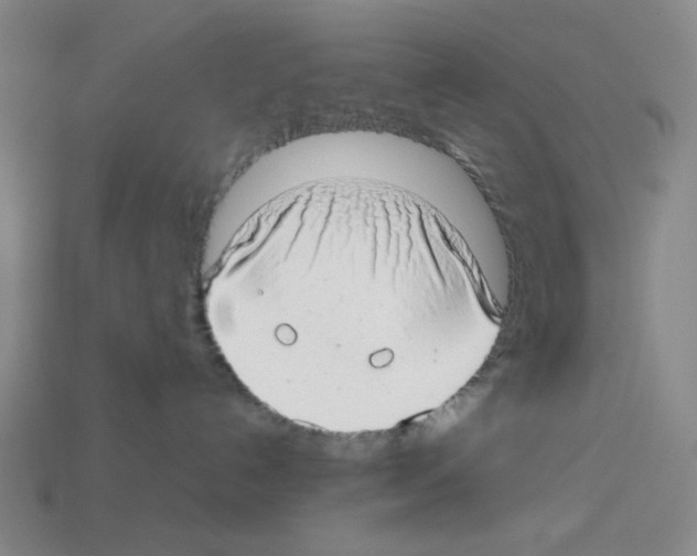 X0000112790192200910021107