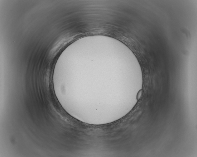 X0000112790194200910021107