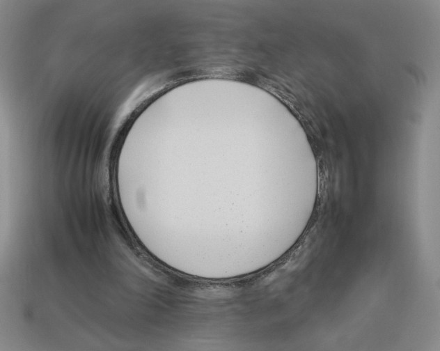 X0000112790198200910021106