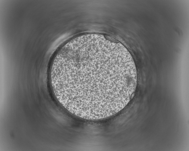 X0000112790199200910021106