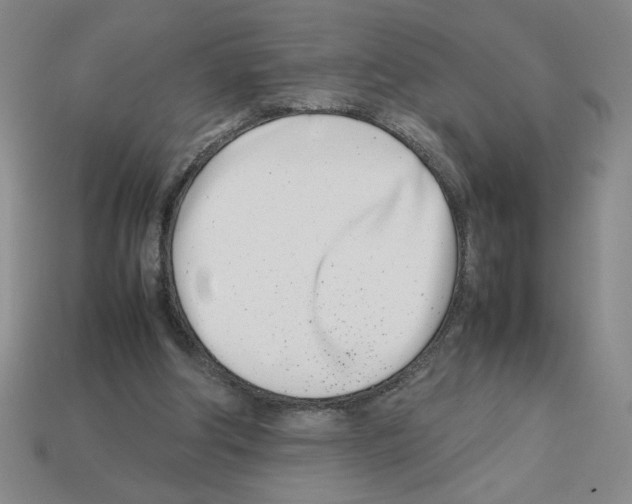 X0000112790202200910021106