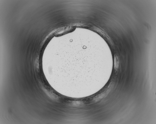 X0000112790204200910021106