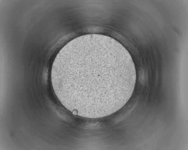 X0000112790206200910021106