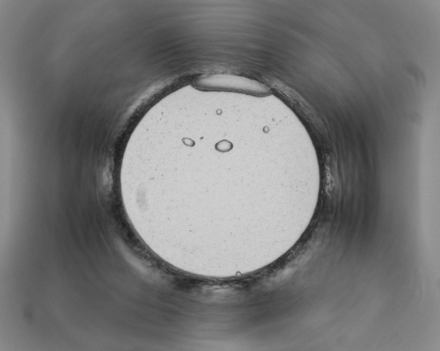 X0000112790208200910021106