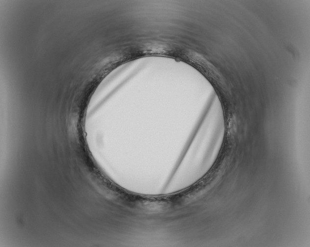 X0000112790209200910021106