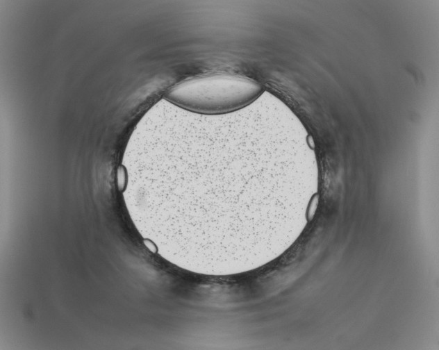 X0000112790211200910021106