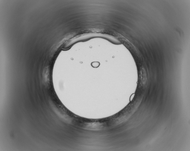 X0000112790212200910021106