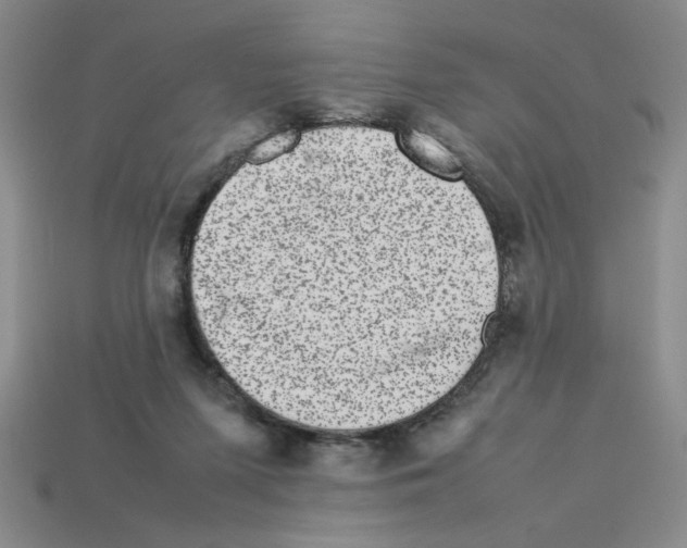 X0000112790215200910021106